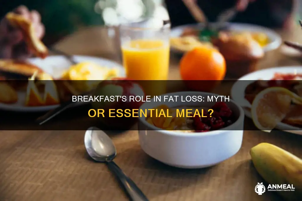 is breakfast an important meal in losing body fat