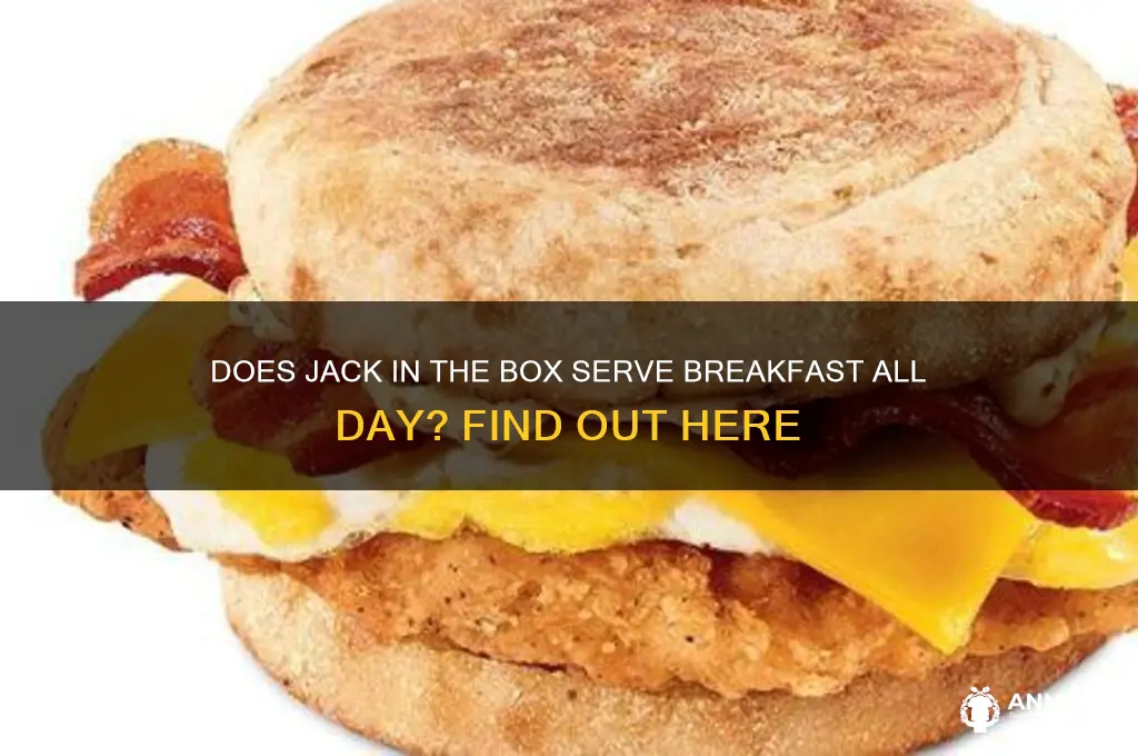 is breakfast available all day at jack in the box