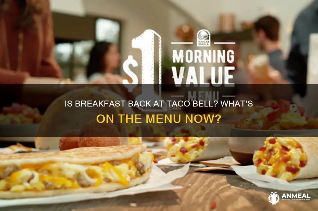 is breakfast back at taco bell