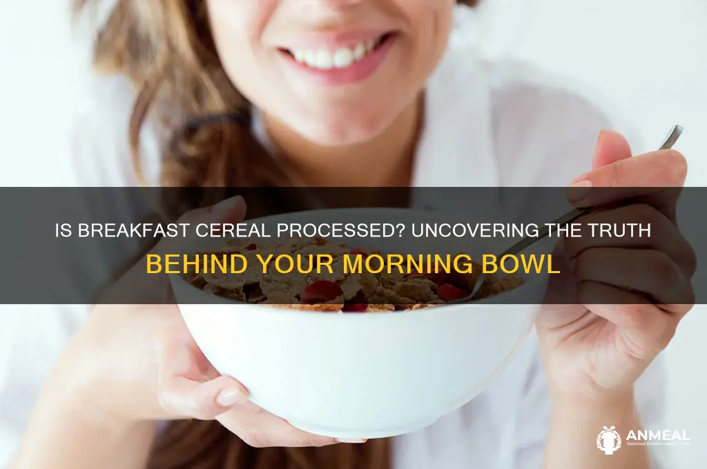 is breakfast cereal a processed food