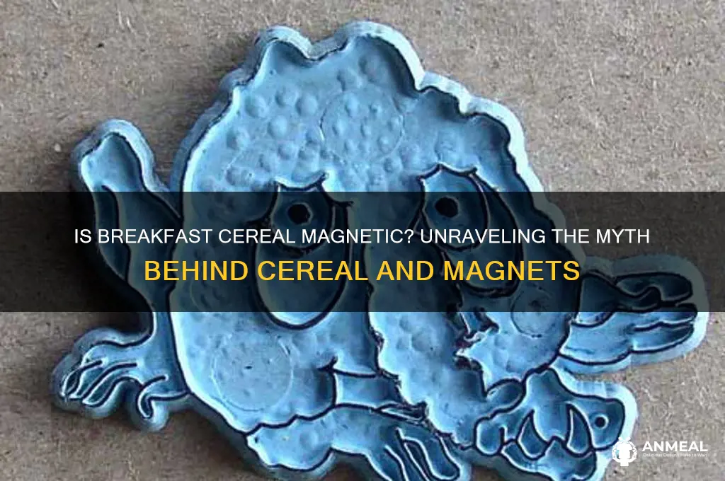 is breakfast cereal magnetic