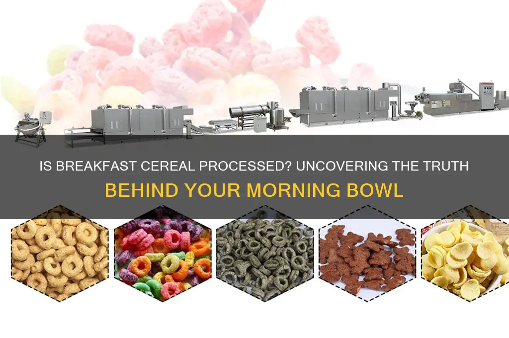 is breakfast cereal processed food