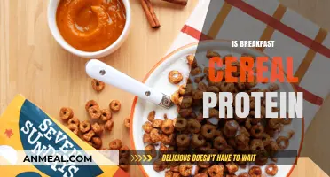 Is Breakfast Cereal a Protein Source? Uncovering Nutritional Facts
