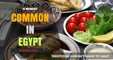 Is Breakfast Common in Egypt? Exploring Egyptian Morning Meal Traditions