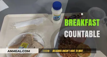 Is Breakfast Countable? Exploring the Concept of Meals as Units