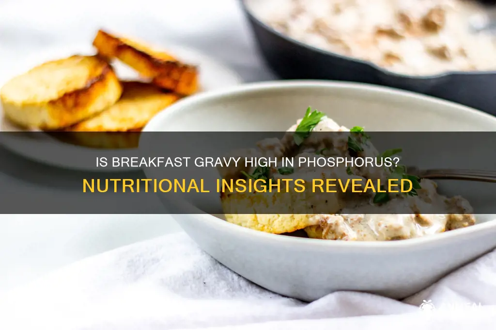 is breakfast gravy high in phosphorus