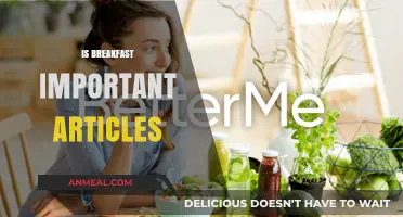 Is Breakfast Essential? Debunking Myths and Uncovering Morning Meal Truths