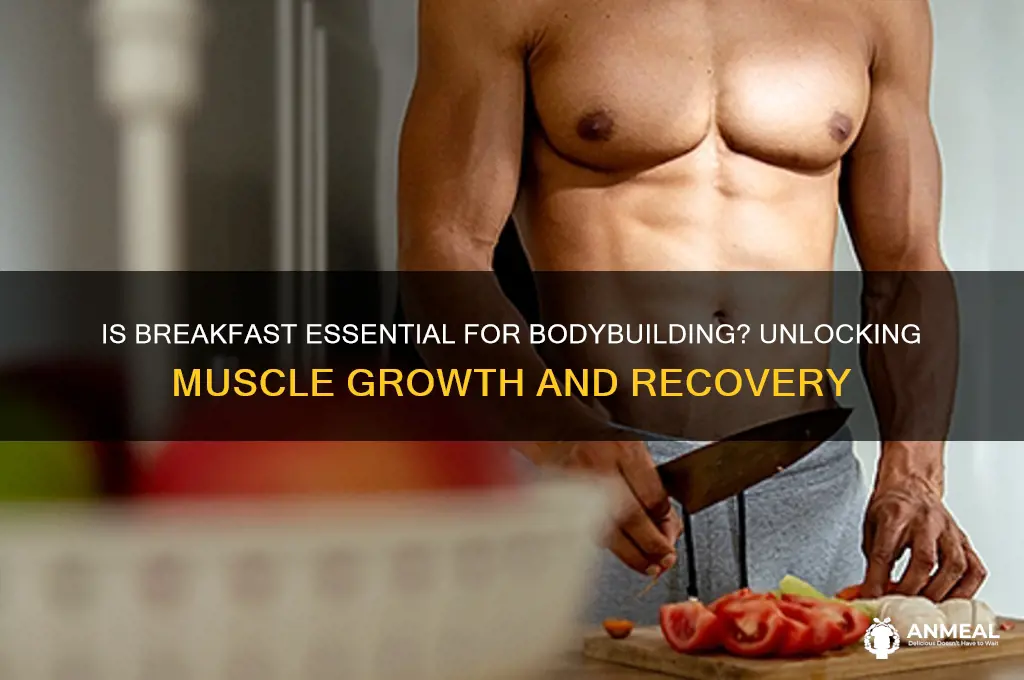is breakfast important bodybuilding