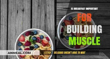 Is Breakfast Essential for Muscle Growth? Unlocking the Morning Meal Myth