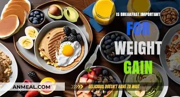 Breakfast's Role in Healthy Weight Gain: Myth or Essential Strategy?