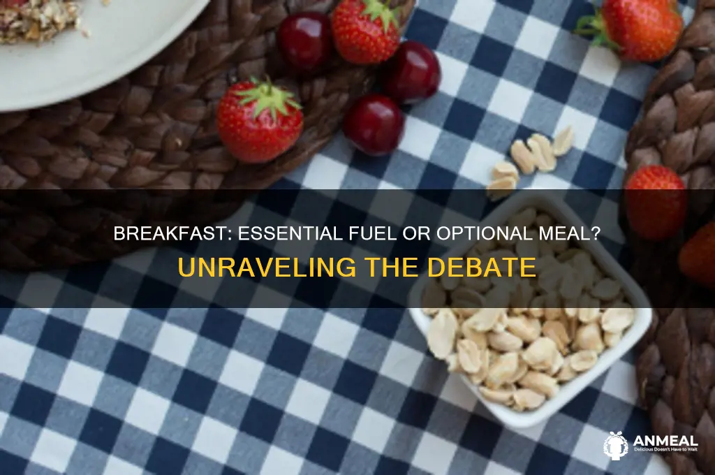 is breakfast important informaive or pursuaiv