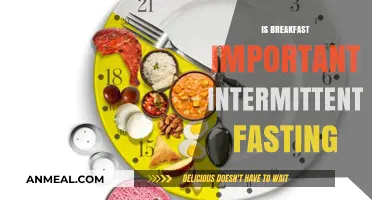 Breakfast vs. Intermittent Fasting: Which Boosts Health and Energy?