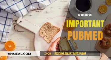 Is Breakfast Essential? PubMed Insights on Morning Nutrition Importance
