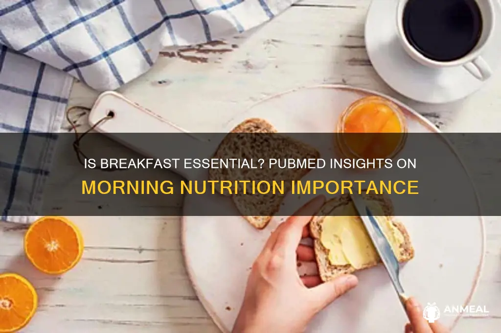 is breakfast important pubmed