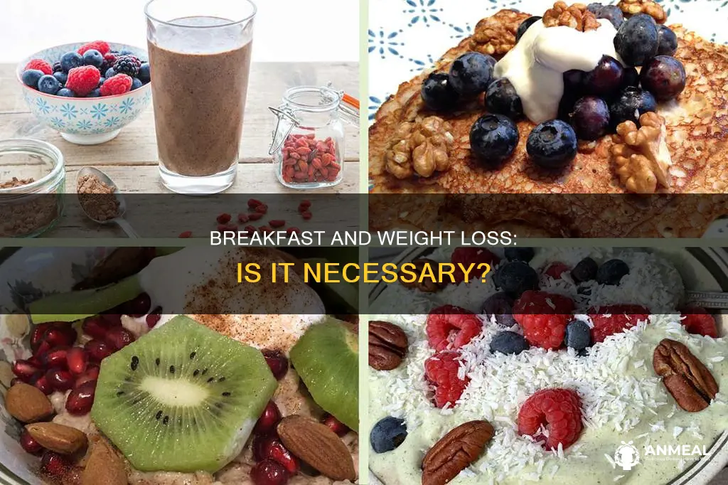 is breakfast important to lose weight
