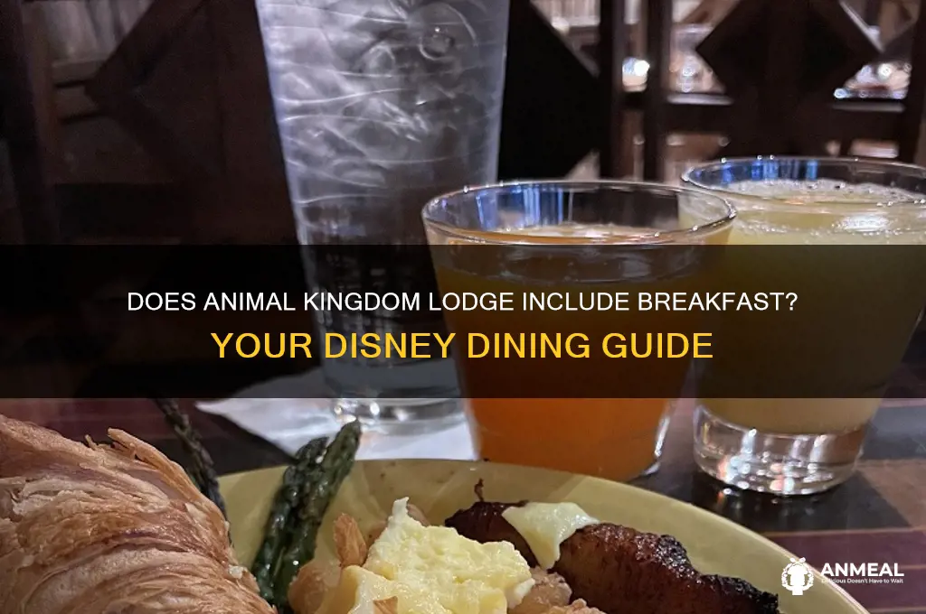 is breakfast included at animal kingdom lodge