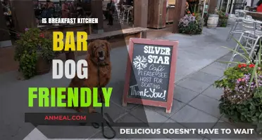 Is Breakfast Kitchen Bar Dog Friendly? A Pet Owner's Guide