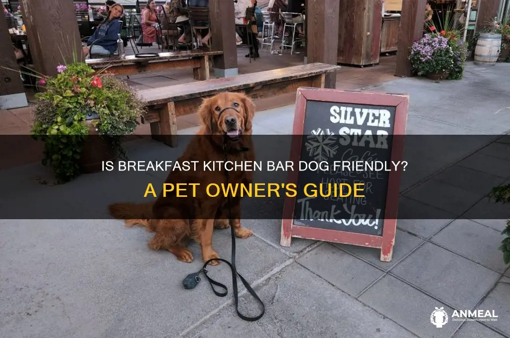 is breakfast kitchen bar dog friendly