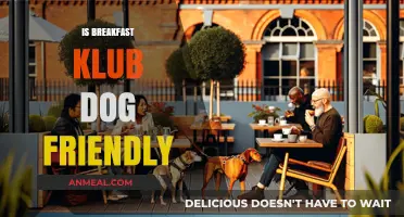 Is Breakfast Klub Dog-Friendly? A Pet Owner's Guide to Dining