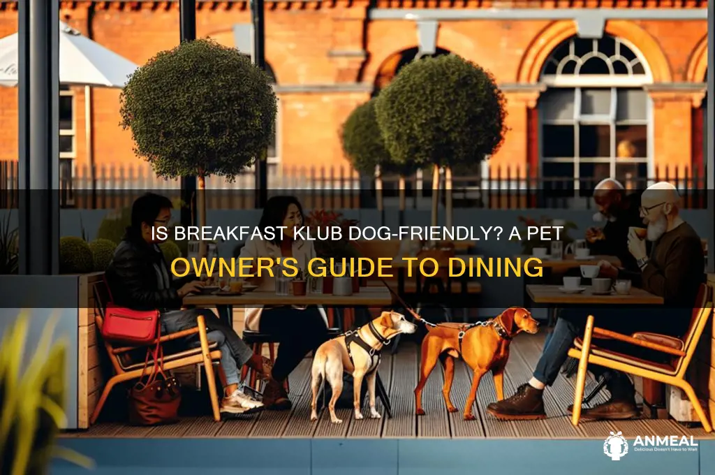 is breakfast klub dog friendly