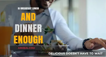 Is Three Meals a Day Enough for Optimal Health and Energy?