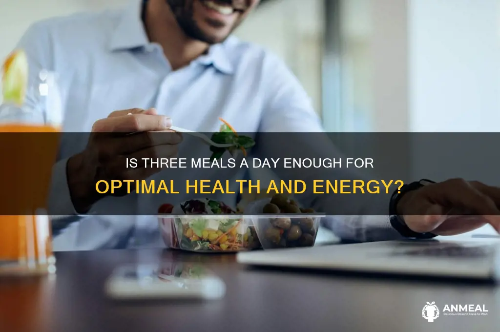 is breakfast lunch and dinner enough