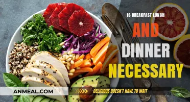 Are Three Meals a Day Essential for Optimal Health and Energy?