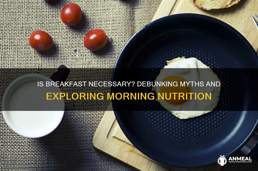 is breakfast necessary