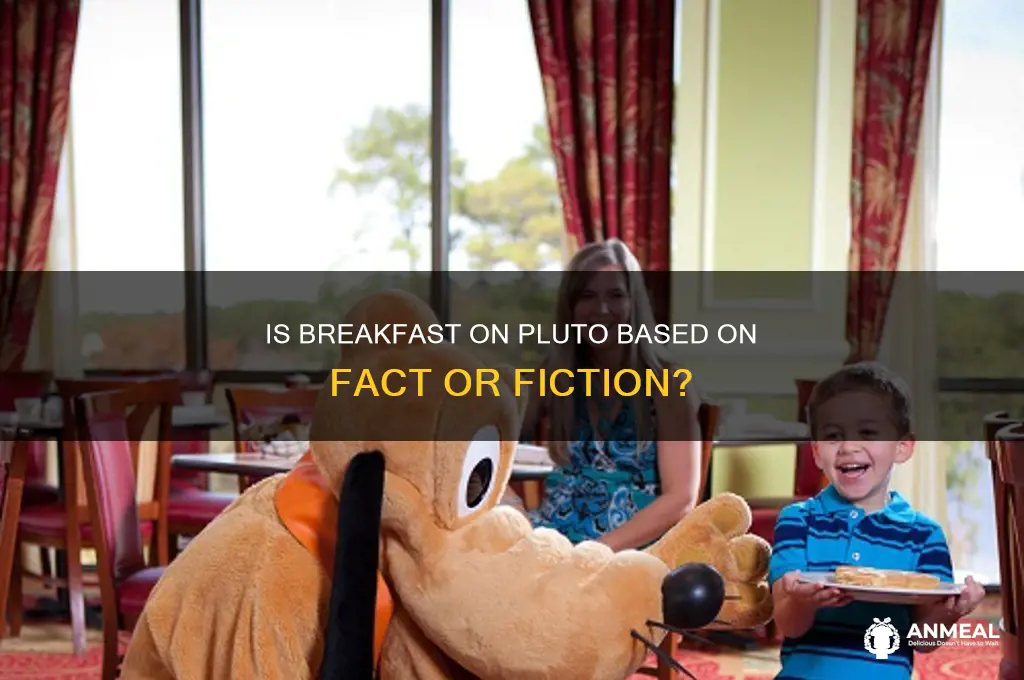is breakfast on pluto a true story