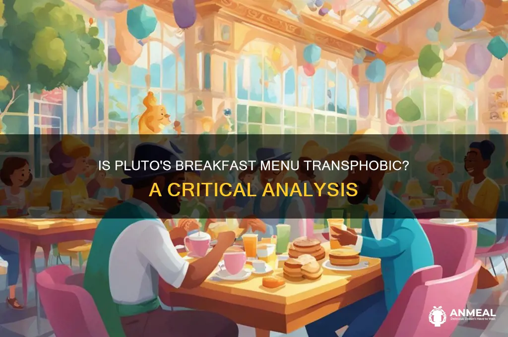 is breakfast on pluto transphobic