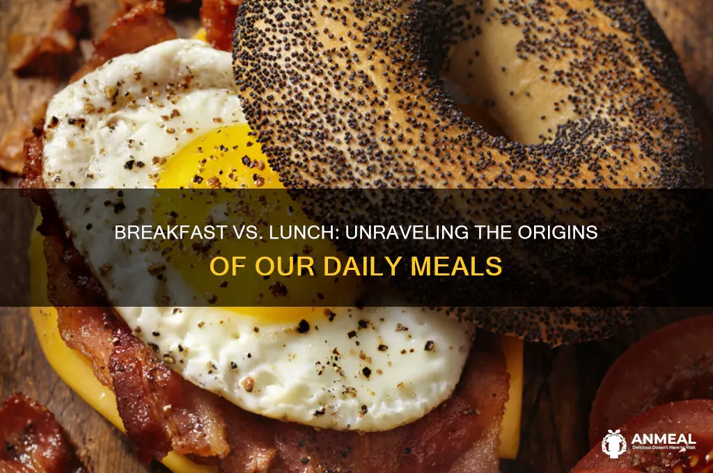 is breakfast or lunch newer