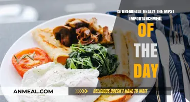 Breakfast Debate: Is It Truly the Day's Most Vital Meal?