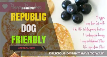 Is Breakfast Republic Dog Friendly? A Pet Parent's Guide