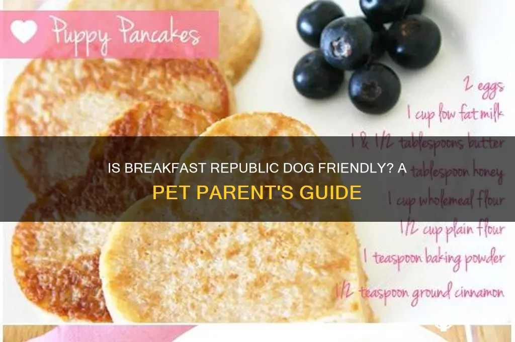is breakfast republic dog friendly