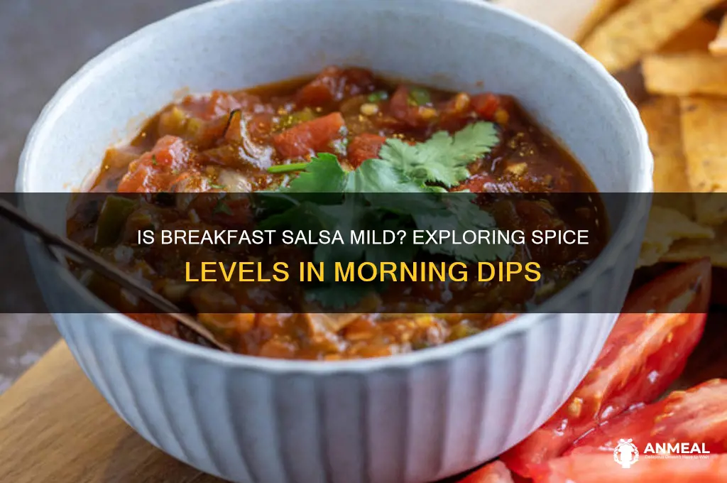 is breakfast salsa mild salsa