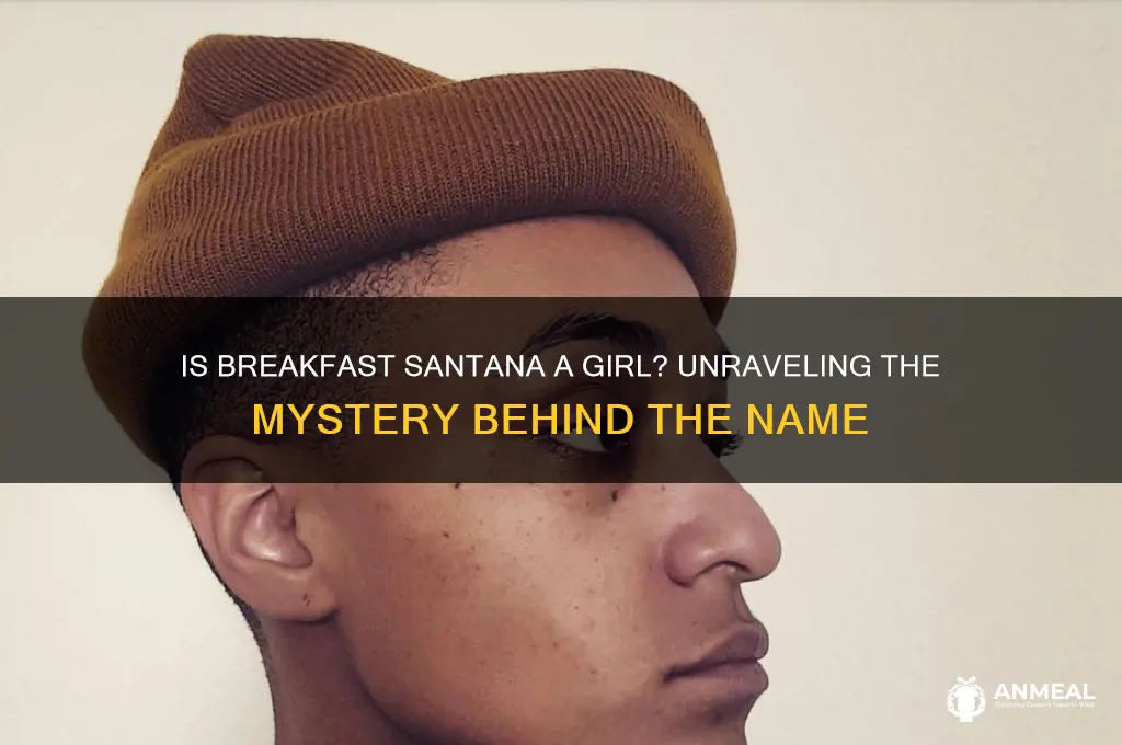 is breakfast santana a girl