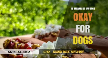 Can Dogs Eat Breakfast Sausage? Safety Tips and Alternatives