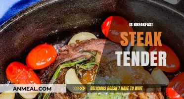 Is Breakfast Steak Tender? Exploring Morning Steak Texture and Tips