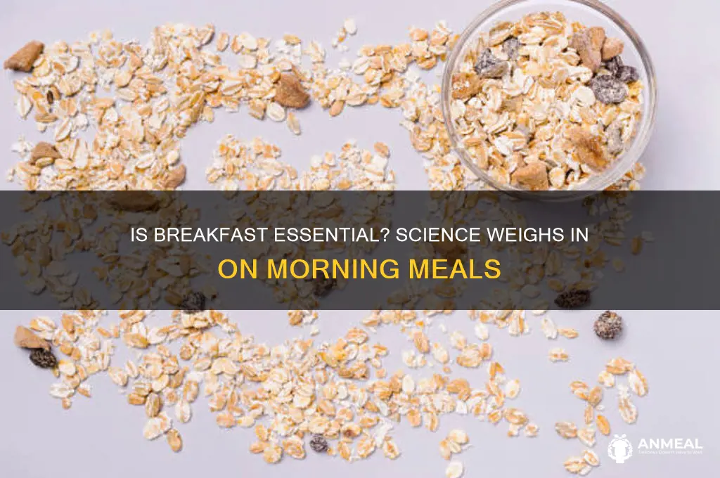 is breakfast supported by science