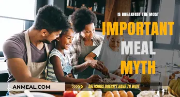 Breakfast: Most Important Meal or Overhyped Morning Myth?
