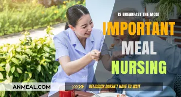 Is Breakfast Truly Essential for Nurses' Health and Performance?