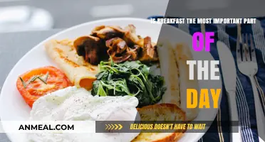 Breakfast Debate: Is It Truly the Day's Most Vital Meal?