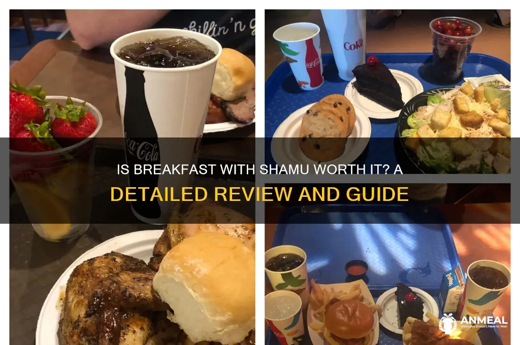 is breakfast with shamu worth it