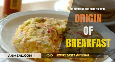 Breaking the Fast: Uncovering Breakfast's True Historical Origins