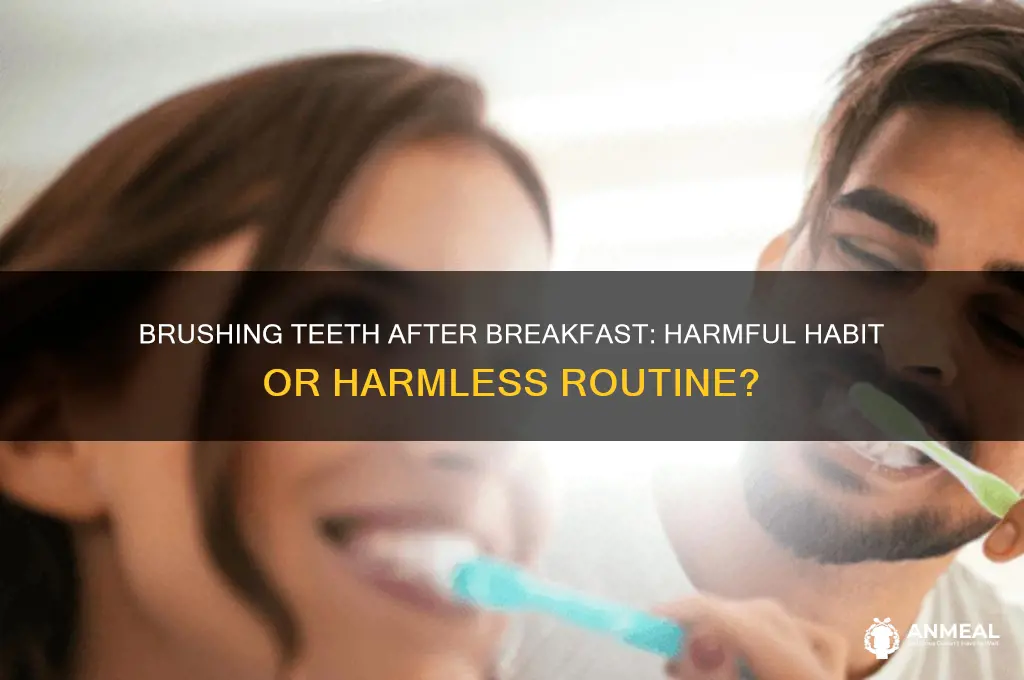 is brushing teeth after breakfast bad