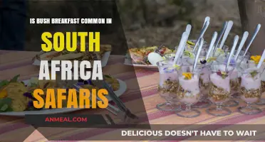 Bush Breakfasts in South Africa Safaris: A Common Tradition?