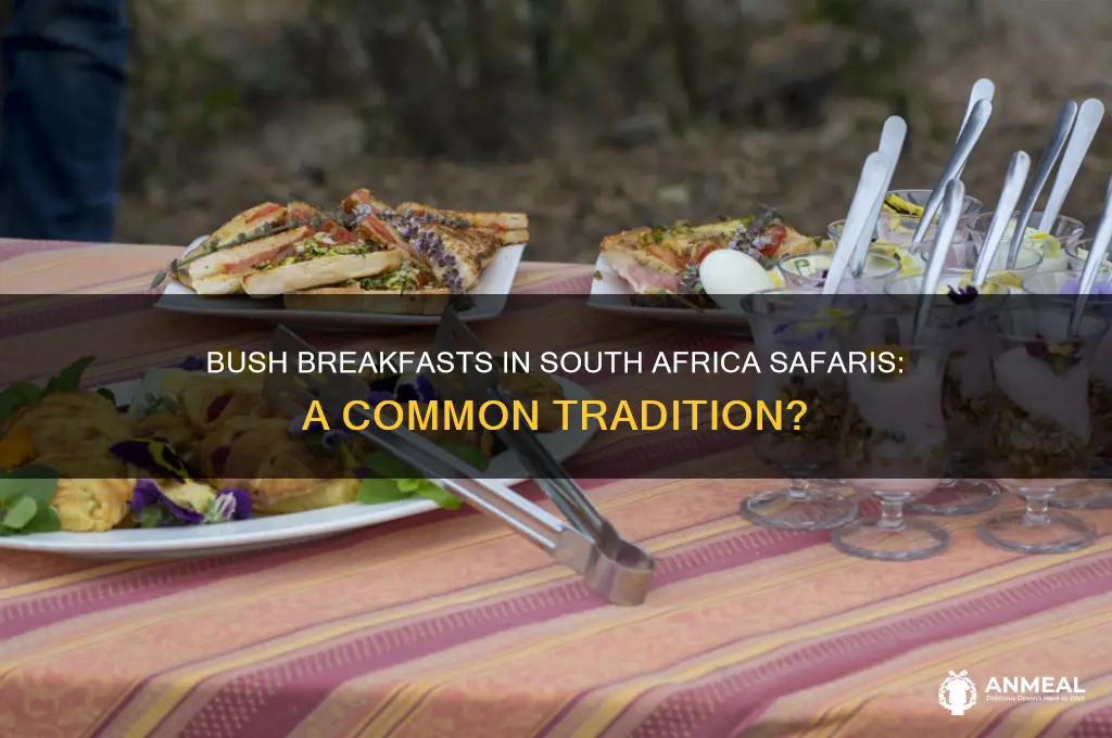 is bush breakfast common in south africa safaris