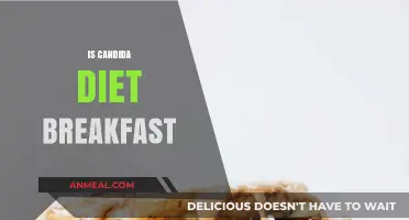 Candida Diet Breakfast Ideas: Healthy, Anti-Fungal Morning Meals