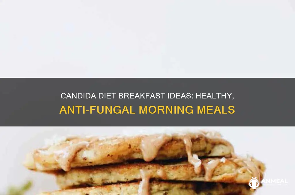 is candida diet breakfast