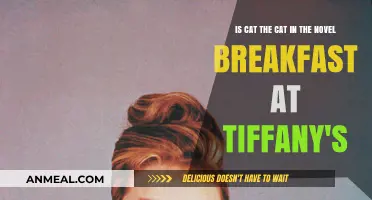 Is Cat the Feline Star of Breakfast at Tiffany's?